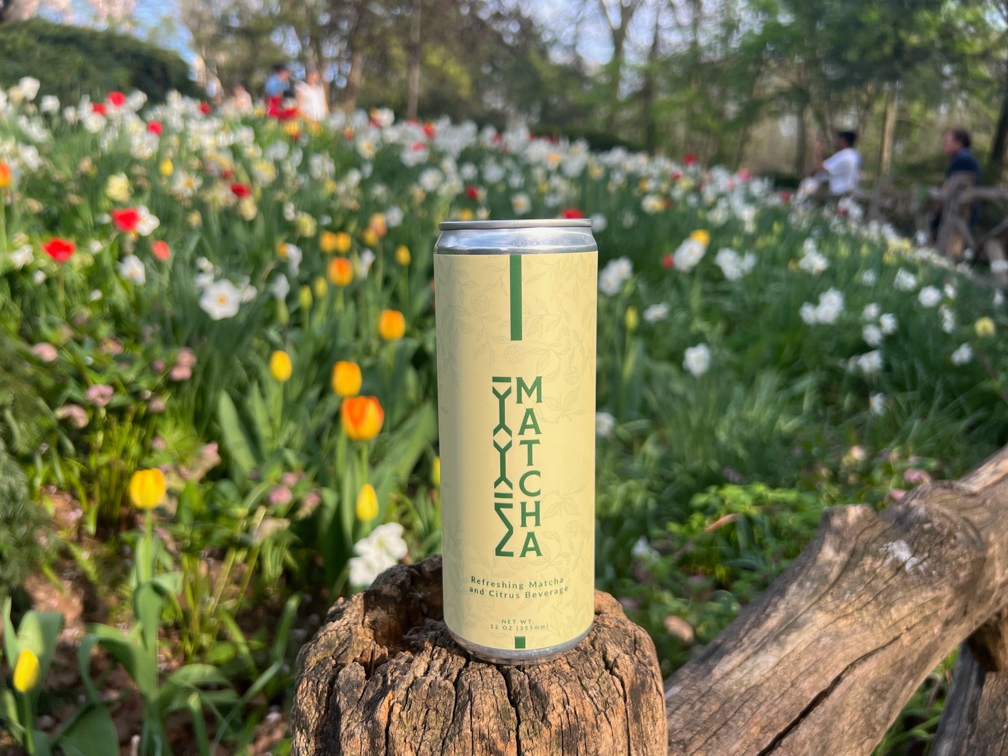 Premium Matcha Citrus Beverage – Mixxi Matcha